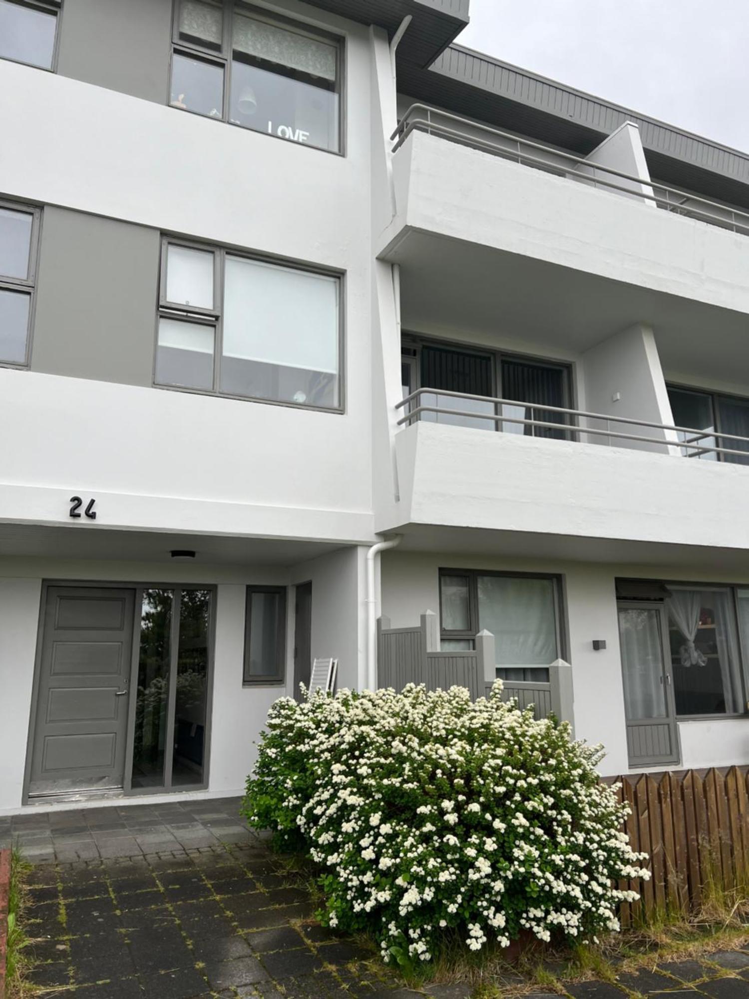 Viggsson Apartment Reykjavík Exterior foto